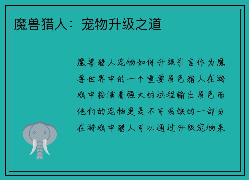 魔兽猎人：宠物升级之道